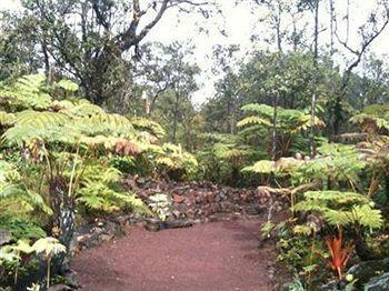 Volcano Rainforest Lodge Exteriör bild